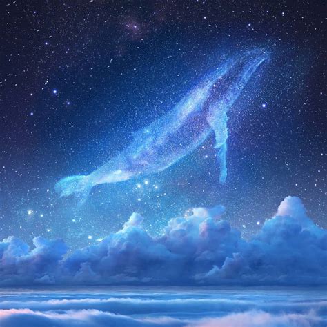 ‎Sky Whale .